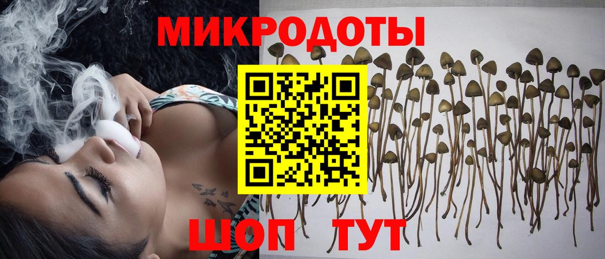 Галлюциногенные грибы GOLDEN TEACHER Югорск