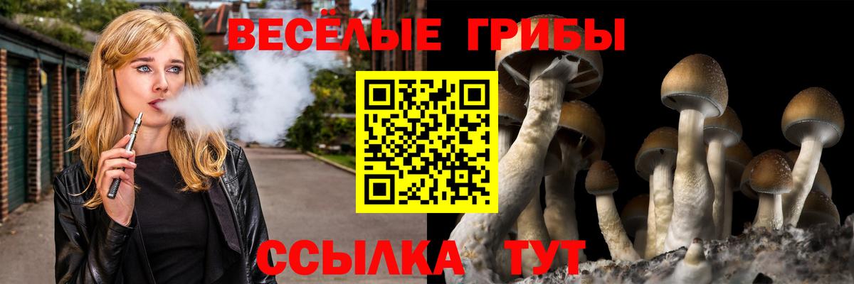 Югорск  магазин    Вход с VPN  Псилоцибиновые грибы Psilocybe 